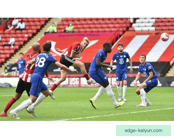 桑德兰黑猫诅咒的影响：足球界的新迷信现象值得关注